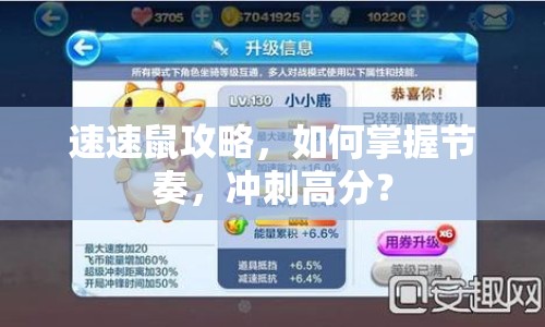 速速鼠攻略，如何掌握節(jié)奏，沖刺高分？