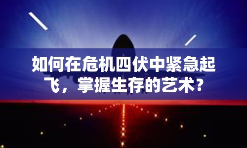 如何在危機(jī)四伏中緊急起飛，掌握生存的藝術(shù)？