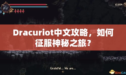 Dracuriot中文攻略，如何征服神秘之旅？