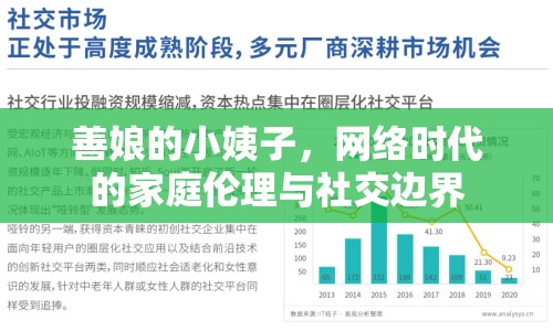 善娘的小姨子，網(wǎng)絡時代的家庭倫理與社交邊界