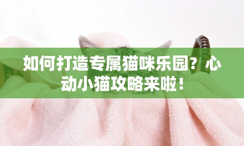 如何打造專屬貓咪樂園？心動(dòng)小貓攻略來(lái)啦！