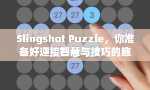 Slingshot Puzzle，你準(zhǔn)備好迎接智慧與技巧的趣味挑戰(zhàn)了嗎？