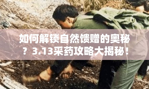 如何解鎖自然饋贈的奧秘？3.13采藥攻略大揭秘！