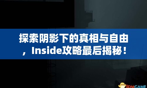 探索陰影下的真相與自由，Inside攻略最后揭秘！