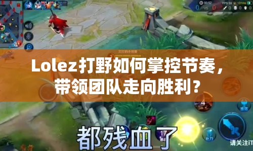 Lolez打野如何掌控節(jié)奏，帶領(lǐng)團(tuán)隊(duì)走向勝利？
