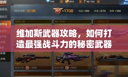 維加斯武器攻略，如何打造最強戰(zhàn)斗力的秘密武器庫？