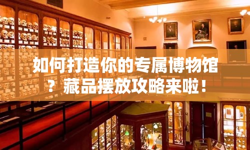 如何打造你的專屬博物館？藏品擺放攻略來啦！