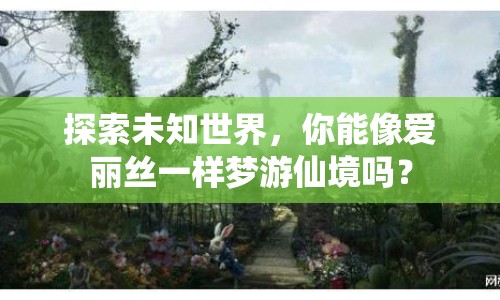 探索未知世界，你能像愛麗絲一樣夢游仙境嗎？