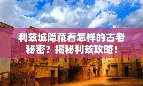 利茲城隱藏著怎樣的古老秘密？揭秘利茲攻略！