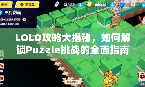 LOLO攻略大揭秘，如何解鎖Puzzle挑戰(zhàn)的全面指南？