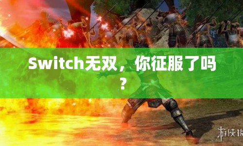Switch無雙，你征服了嗎？