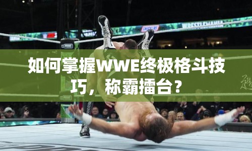 如何掌握WWE終極格斗技巧，稱霸擂臺(tái)？