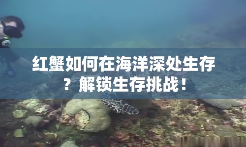 紅蟹如何在海洋深處生存？解鎖生存挑戰(zhàn)！
