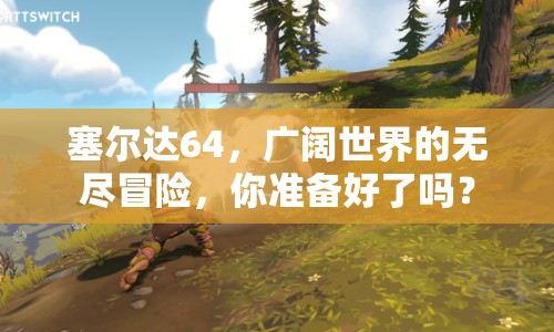 塞爾達(dá)64，廣闊世界的無盡冒險，你準(zhǔn)備好了嗎？