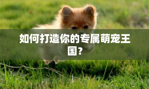 如何打造你的專屬萌寵王國？
