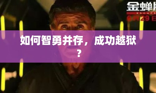 如何智勇并存，成功越獄？