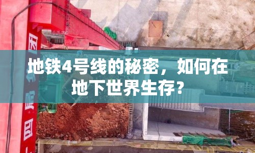地鐵4號線的秘密，如何在地下世界生存？