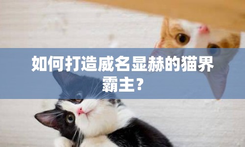 如何打造威名顯赫的貓界霸主？
