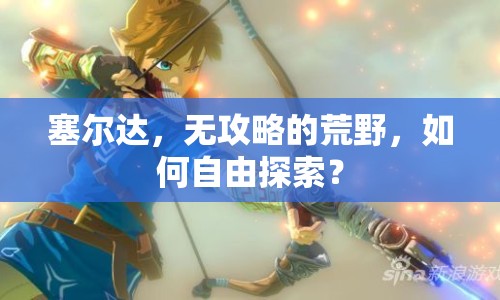 塞爾達(dá)，無(wú)攻略的荒野，如何自由探索？