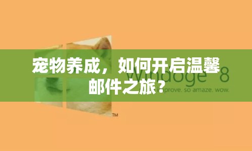 寵物養(yǎng)成，如何開(kāi)啟溫馨郵件之旅？