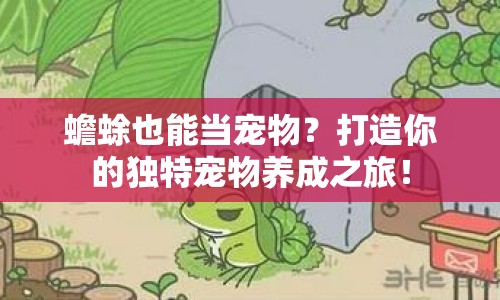 蟾蜍也能當(dāng)寵物？打造你的獨特寵物養(yǎng)成之旅！