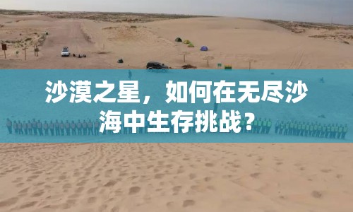 沙漠之星，如何在無盡沙海中生存挑戰(zhàn)？
