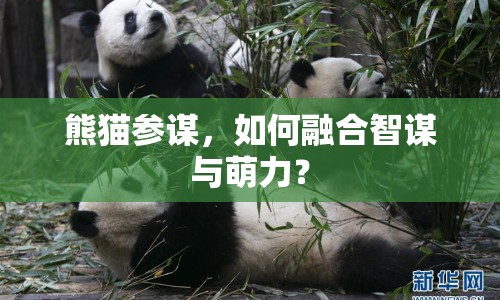 熊貓參謀，如何融合智謀與萌力？