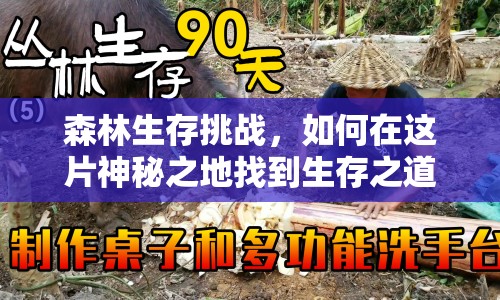 森林生存挑戰(zhàn)，如何在這片神秘之地找到生存之道？