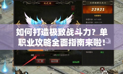 如何打造極致戰(zhàn)斗力？單職業(yè)攻略全面指南來啦！