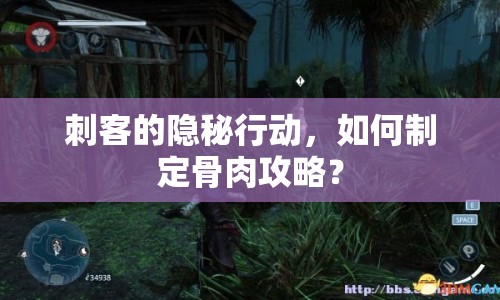 刺客的隱秘行動(dòng)，如何制定骨肉攻略？