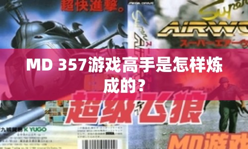 MD 357游戲高手是怎樣煉成的？