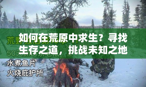 如何在荒原中求生？尋找生存之道，挑戰(zhàn)未知之地！