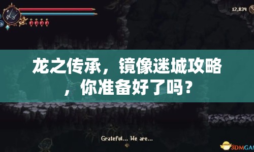 龍之傳承，鏡像迷城攻略，你準備好了嗎？