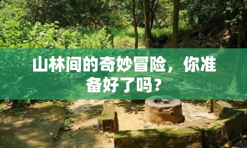 山林間的奇妙冒險(xiǎn)，你準(zhǔn)備好了嗎？