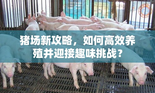 豬場新攻略，如何高效養(yǎng)殖并迎接趣味挑戰(zhàn)？