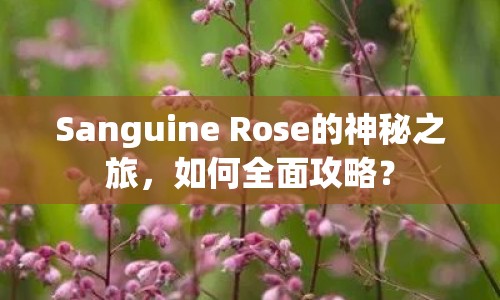 Sanguine Rose的神秘之旅，如何全面攻略？