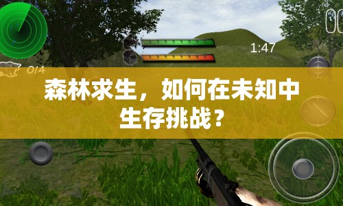 森林求生，如何在未知中生存挑戰(zhàn)？