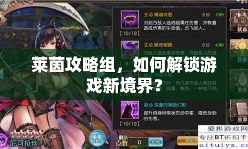 萊茵攻略組，如何解鎖游戲新境界？