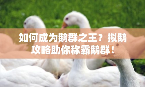 如何成為鵝群之王？擬鵝攻略助你稱霸鵝群！