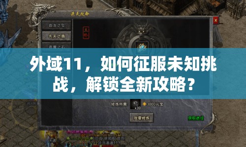 外域11，如何征服未知挑戰(zhàn)，解鎖全新攻略？