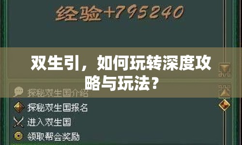 雙生引，如何玩轉深度攻略與玩法？