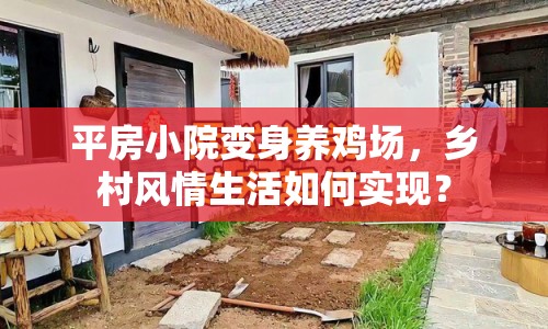 平房小院變身養(yǎng)雞場，鄉(xiāng)村風情生活如何實現(xiàn)？