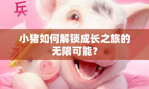 小豬如何解鎖成長(zhǎng)之旅的無(wú)限可能？