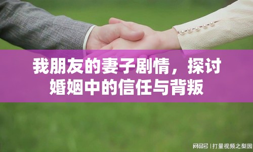 我朋友的妻子劇情，探討婚姻中的信任與背叛