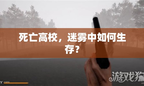 死亡高校，迷霧中如何生存？