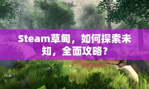 Steam草甸，如何探索未知，全面攻略？