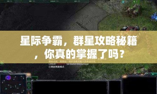 星際爭霸，群星攻略秘籍，你真的掌握了嗎？