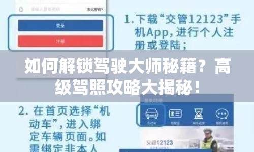 如何解鎖駕駛大師秘籍？高級駕照攻略大揭秘！