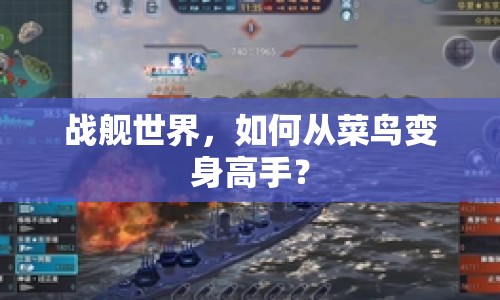 戰(zhàn)艦世界，如何從菜鳥變身高手？