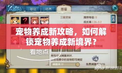 寵物養(yǎng)成新攻略，如何解鎖寵物養(yǎng)成新境界？